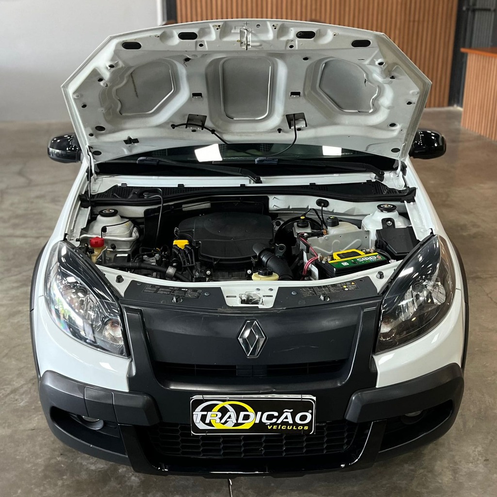 Renault Sandero Stepway Tweed 1.6 Flex (Impecável – Manual)