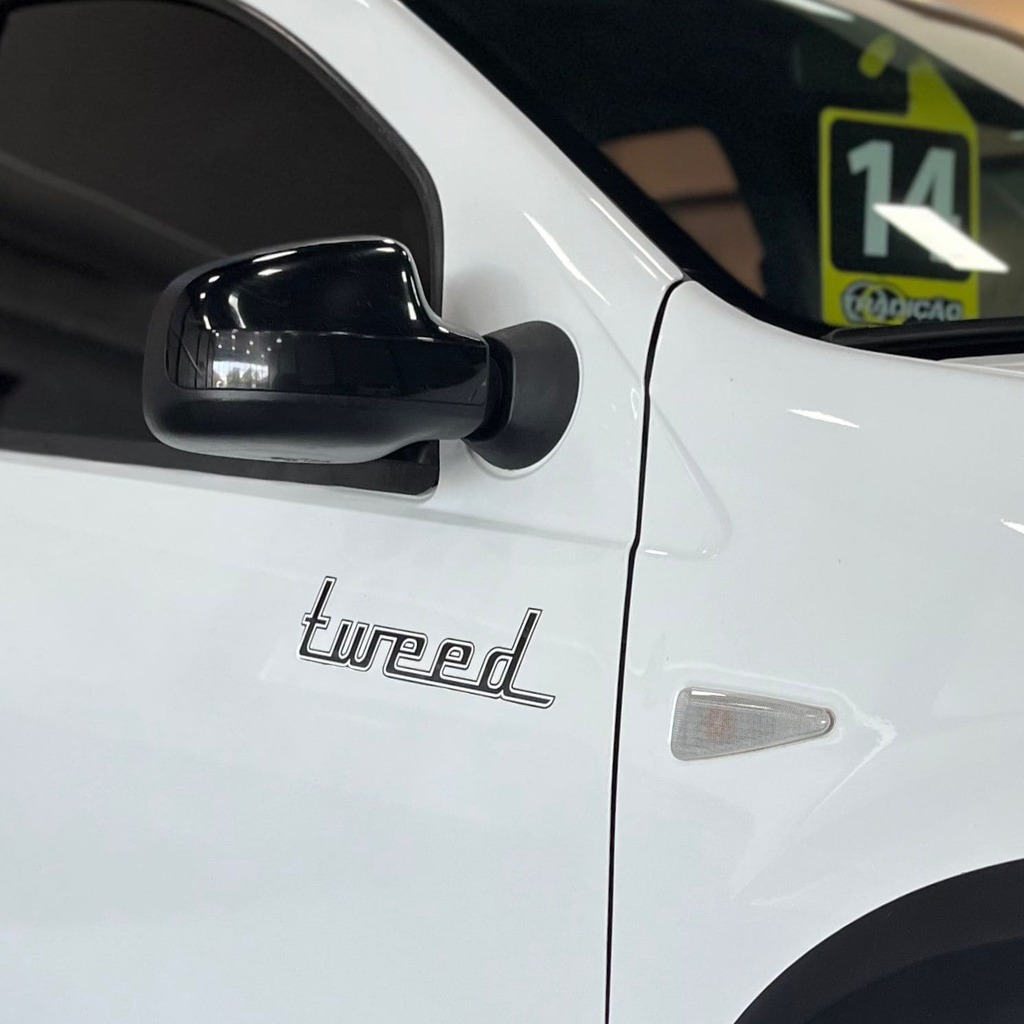 Renault Sandero Stepway Tweed 1.6 Flex (Impecável – Manual)