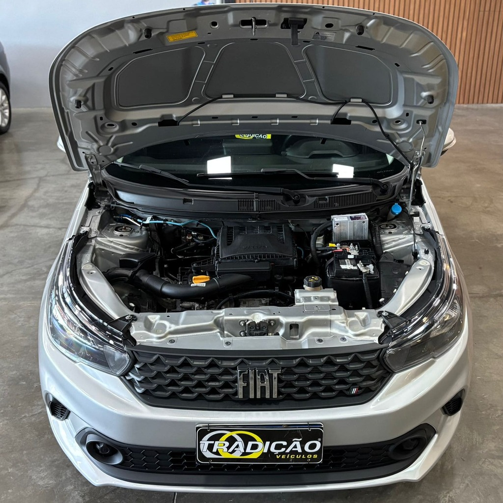 Fiar Argo 1.0 Flex Manual (Completo – Impecável)