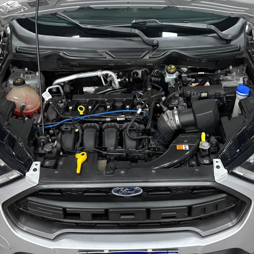 Ford Ecosport Storm 2.0 4wd (Aut – Bancos em Couro – Teto Solar – Top de Linha)
