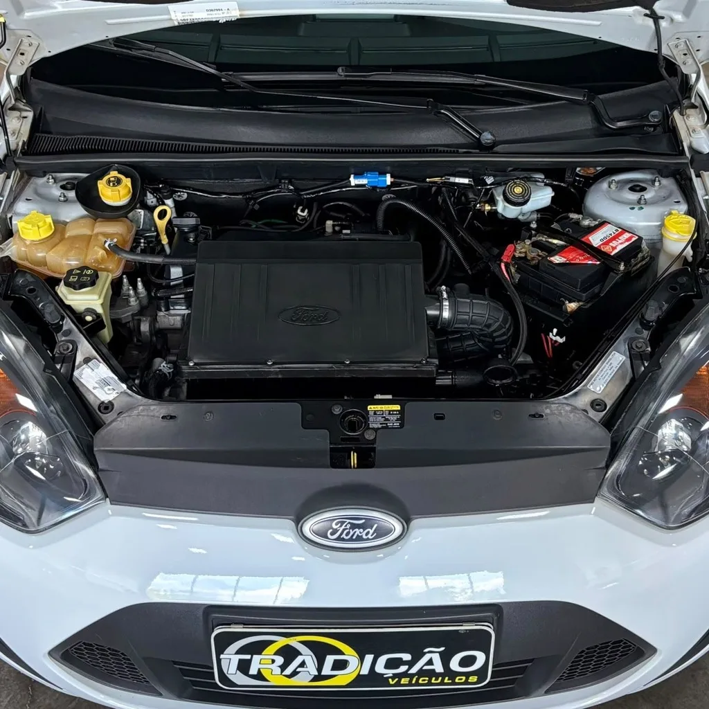 Ford Fiesta Rocam Hatch 1.0 Flex 4P (Completo – Manual – Impecável)